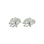 Sterling Silver Earrings - Pohutukawa Silver