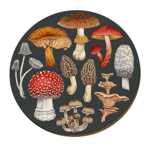 Placemat = NZ Fungi Morchella