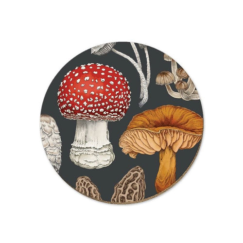 Coaster - NZ Fungi Morchella