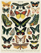 Cavallini & Co - Butterflies 1000 Pce - Vintage Puzzle