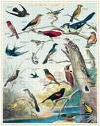 Cavallini & Co - Bird 1000 Pce - Vintage Puzzle