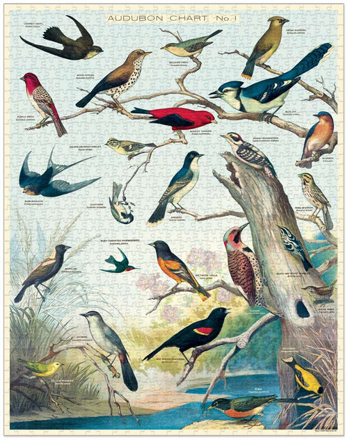 Cavallini & Co - Bird 1000 Pce - Vintage Puzzle
