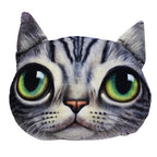 Cat Cushion American Shorthair - Tobby