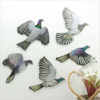 Printed ACM Birds Set - Kereru