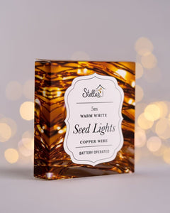 Battery Seed Lights - 5m warm white copper wire