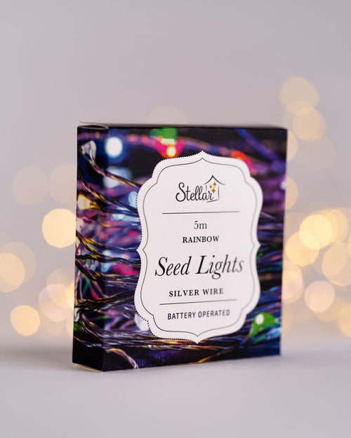 Battery Seed Lights - 5m Rainbow Silver wire
