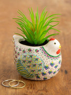 Succulent Critter Penny The Chicken