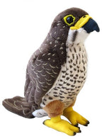 Sound Bird -  NZ Falcon (Karearea)