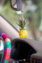Hanging Succulent Critter Pineapple