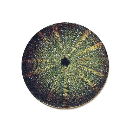 Coaster - Kina
