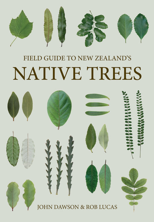 Field guide to NZ native trees  (Revised Edition)
