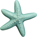 Ceramic Wall Star Fish Small