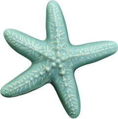 Ceramic Wall Star Fish Small