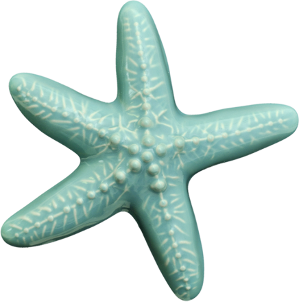 Ceramic Wall Star Fish Small