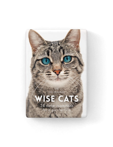 WISE CATS – 24 CARD PACK + STAND