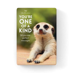 YOU’RE ONE OF A KIND – 24 CARD SET + STAND