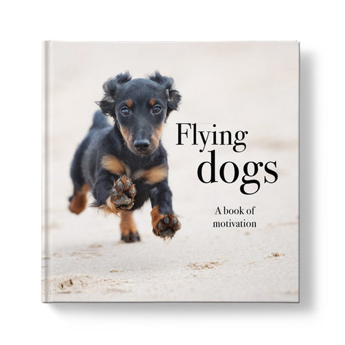 Gift Book - Flying Dogs