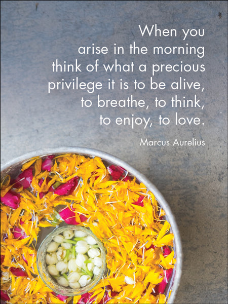 Soul Life - 24 Cards + Stand