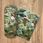 New Zealand Native Birds - Glasses Case