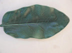 Ceramic Puka Plate - Aqua
