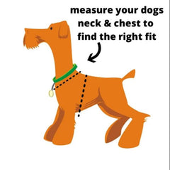Reversible Dog Harness - Dotty Doughnuts design