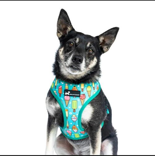 Reversible Dog Harness - Mint Ice design