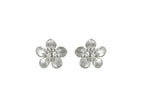 Sterling Silver Earrings - Manuka Flower Silver