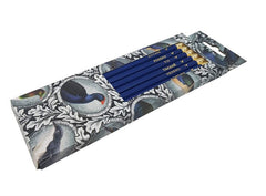 HB Pencils Set - NZ Native Birds