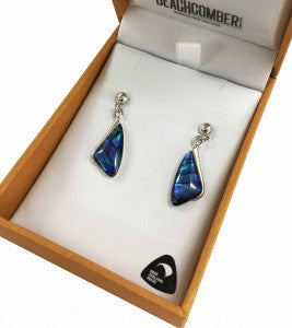Paua Earrings Silver Plated Bxd