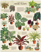 Cavallini & Co - House Plants 1000 Pce - Vintage Puzzle