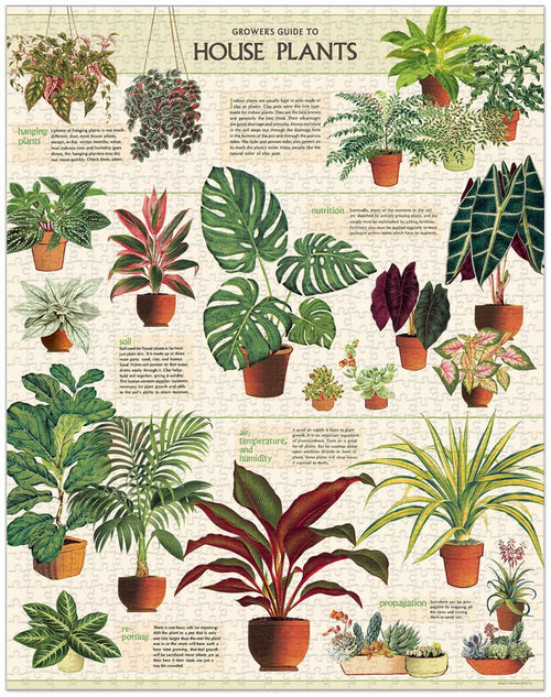 Cavallini & Co - House Plants 1000 Pce - Vintage Puzzle